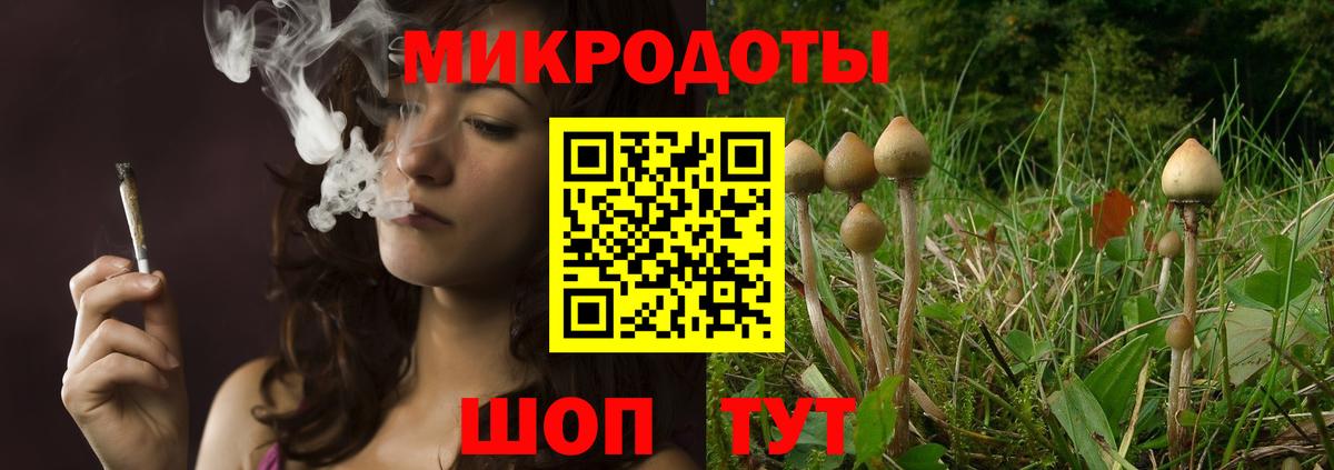 Нововоронеж  Галлюциногенные грибы Psilocybe  Вход с VPN  Псилоцибиновые грибы мухоморы 