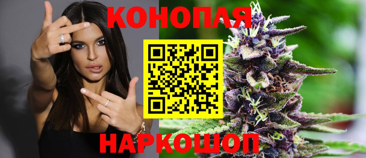 Конопля семена Нововоронеж